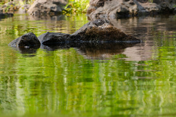 River flowing around the smooth rocks. Taken at Khlong Lan Waterfall Kamphaeng Phet Province, Thailand.