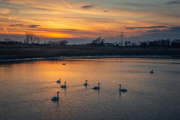 Sunset over the pond near Piaseczno, Masovia, Poland