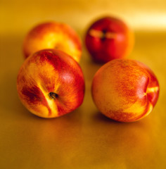 Nectarines