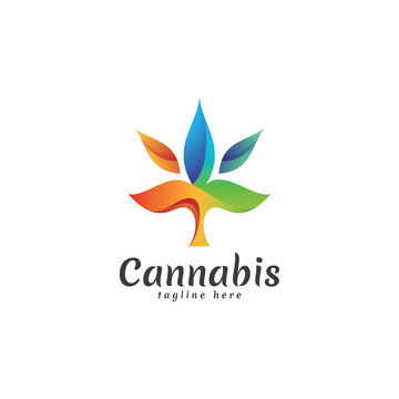 Modern Colorful Cannabis Leaf Logo Icon