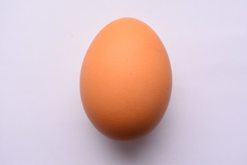  egg on white background