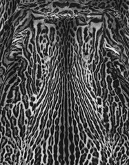 leopard fur background textures