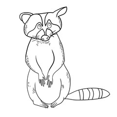 Vector illustration, linear black and white drawing, cartoon, funny raccoon and carrot