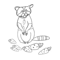 Vector illustration, linear black and white drawing, cartoon, funny raccoon and carrot