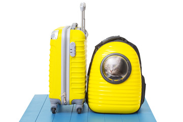 Cat in backpack carrier next to yellow suitcase ready to travel isolated on white