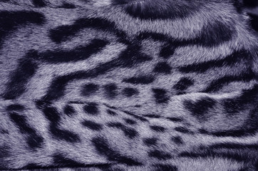 bobcat fur background texture