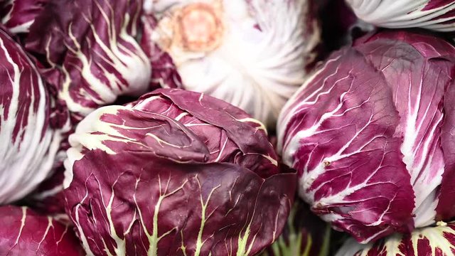 Showcase With fresh organic zero-carbon radicchio  On The Street Market in italy