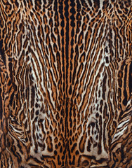 leopard fur background textures