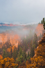 Bryce Canyon in the Mist