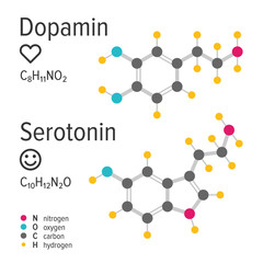 Dopamin and serotonin hormones vector chemical formulas. Love and happiness emotions. Chemical molecular model.