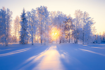 Fototapeta na wymiar Winter landscape from Sotkamo, Finland.