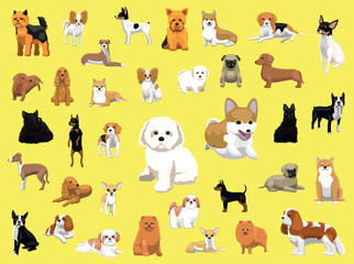 Obraz na płótnie Canvas Various Small Dog Breeds Poses