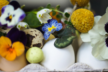 Easter holiday natural composition with first spring flowers like tricolor violas and primerose , colored eggs