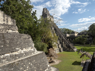 Fototapeta na wymiar Pyramid of the Jaguar in the national most important Mayan city of Tikal Park, Guatemala