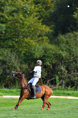 Polo player on the horse hitting the ball in the air. Vertical, in motion, side view.