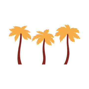 Three palm trees icon with orange leaves in flat cartoon style.