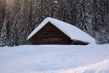Fototapeta na wymiar Eine Verschneite Holzhütte in einer Winterlandschaft
