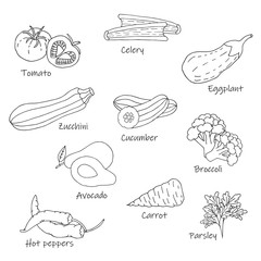 Hand drawn vegetable icon set.