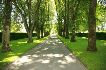 allee