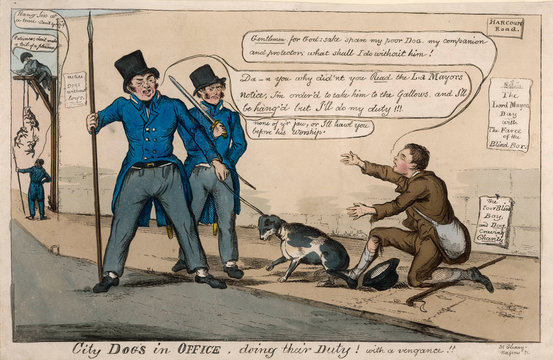 Arresting a Dog