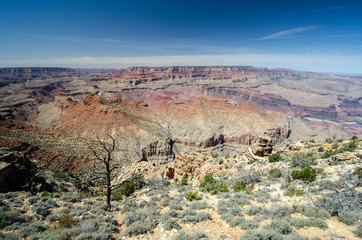 Near Desert View Wathtower, Grand Canyon, Arizona, USA