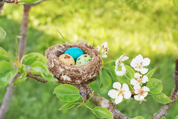 Easter eggs in nest outdoor