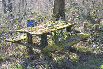 Table de pique nique envahie par la végétation