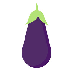 eggplant flat color art illustration