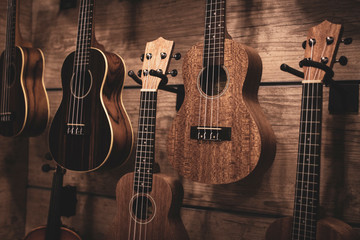 Obraz na płótnie Canvas ukulele violin instrument