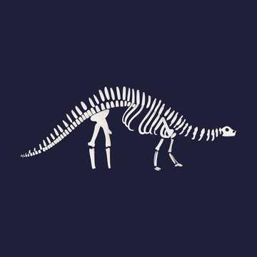 Vector Diplodocus Dinosaur Fossil Skeleton Icon On