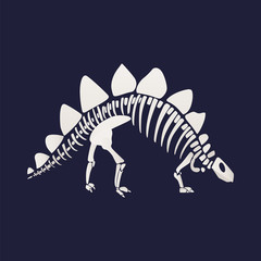 Fototapeta na wymiar White skeleton and bones of a stegosaurus on blue background.
