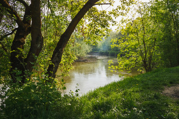 Obraz premium Landscape with trees over the river