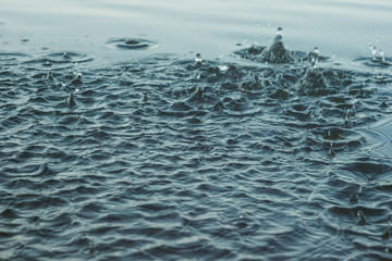 The surface of the water is perturbed by the drops of rain. Splashes on the water. Abstract...
