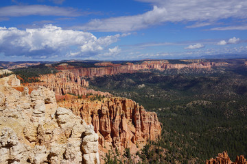mountain line and conifers in bryce canyon