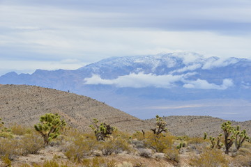 Fototapeta na wymiar Different Landscapes in the Mohave Desert, Nevada.
