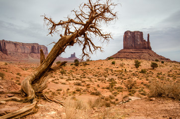 West Mitten and Stagecoach, Monument Valley, Arizona, USA