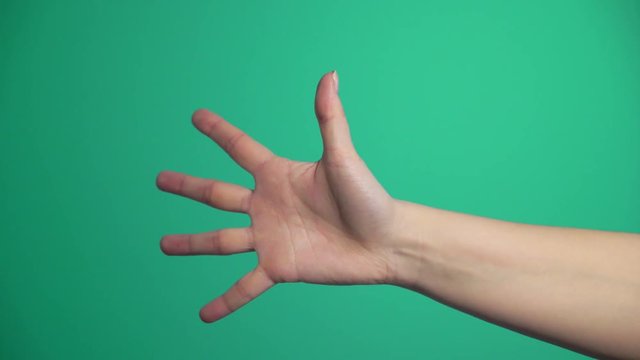 Closeup of isolated on green adult female hand counting from 0 to 5. Woman shows fist fist, then one, two, three, four, five fingers. Manicured nails painted with beautiful pink polish. Math concept