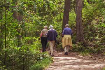 Fototapeta premium Three women in the forest - Nordic walking