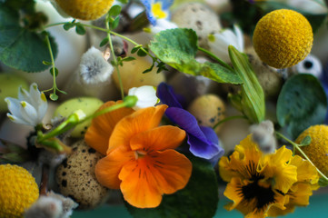 Easter holiday natural composition with first spring flowers like tricolor violas and primerose , quail eggs