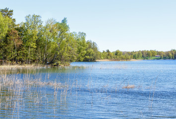 Summer lake