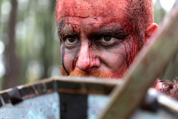 Real viking in the countryside © Gelpi