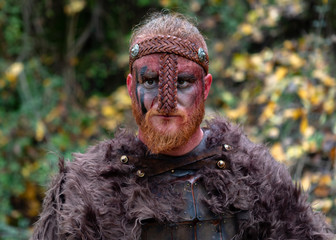 Real viking in the countryside