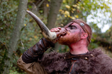 Real viking Real viking drinking from a horn in the countryside.