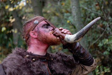 Real viking Real viking drinking from a horn in the countryside.