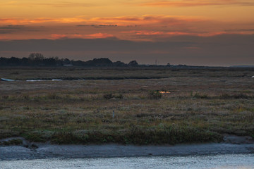 Blakeney Marsh