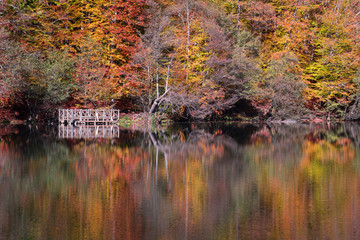 Lake on  Autumn at Yedigoller National park