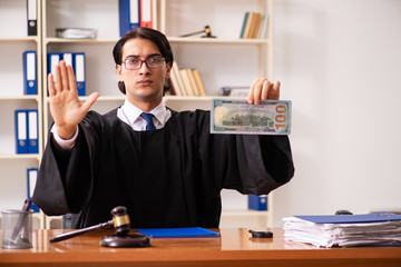 Young handsome judge working in court 