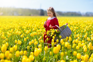 Child in yellow tulip flower field in Holland