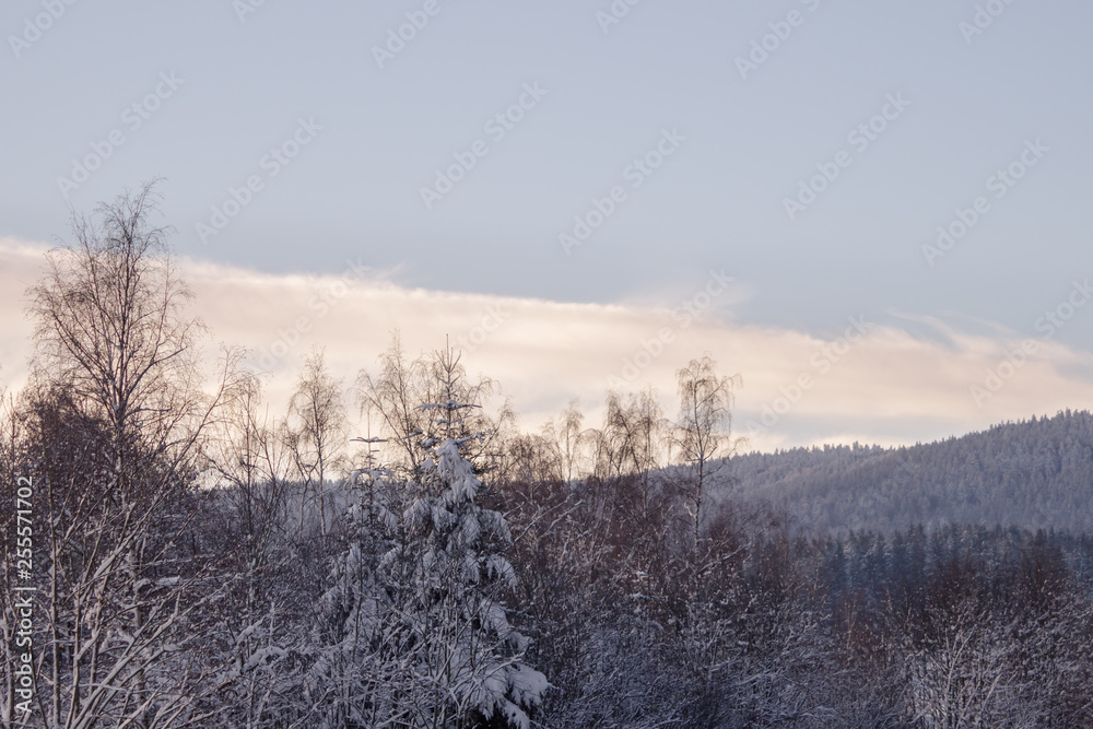 Wall mural a wonderful winter landscape in beautiful bavaria