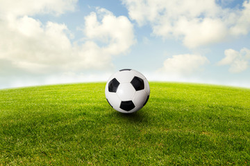 Fototapeta na wymiar Fußball liegt auf dem Rasen